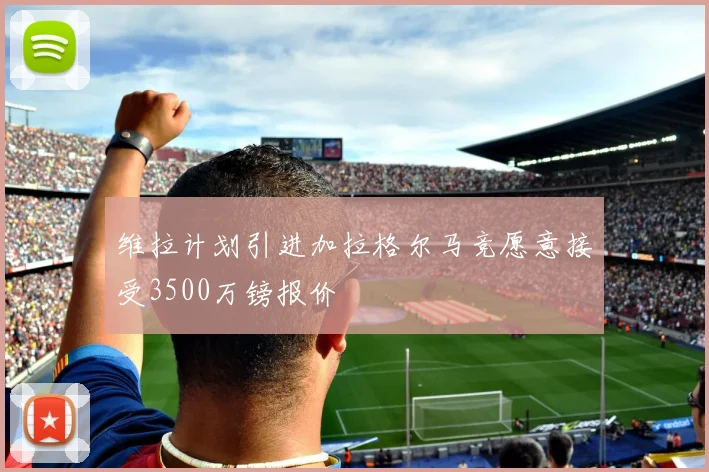 维拉计划引进加拉格尔马竞愿意接受3500万镑报价