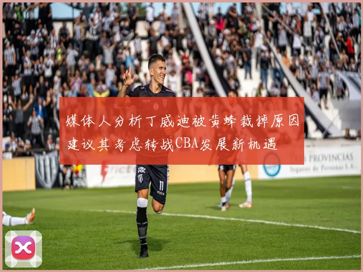 媒体人分析丁威迪被黄蜂裁掉原因建议其考虑转战CBA发展新机遇